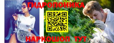крисы Бузулук