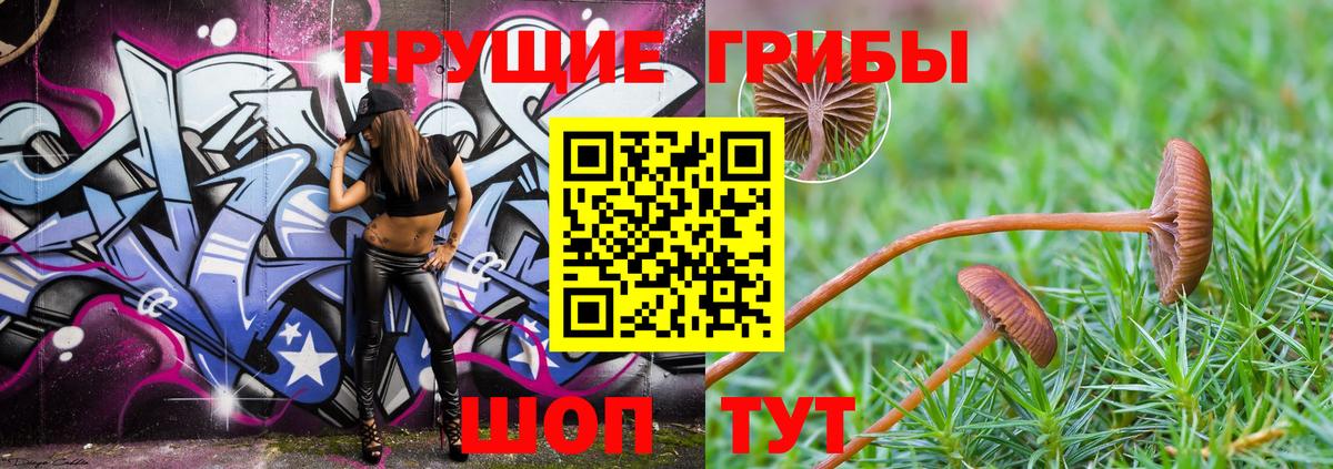 Псилоцибиновые грибы прущие грибы  Вход с VPN  продажа наркотиков  Хабаровск 
