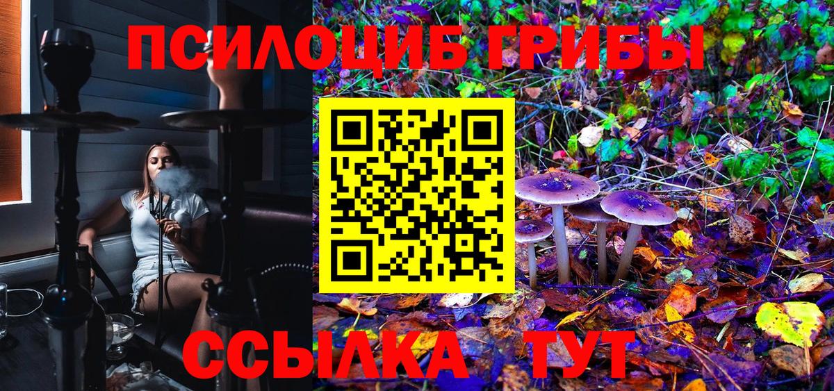 Галлюциногенные грибы Cubensis Хабаровск